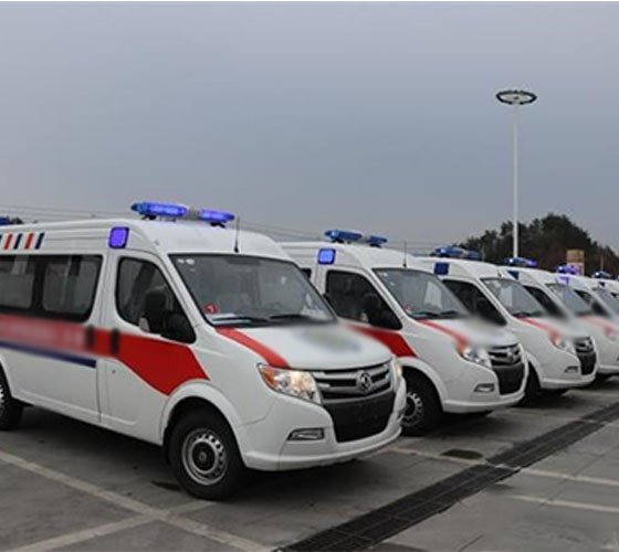 禄丰县服务车队展示